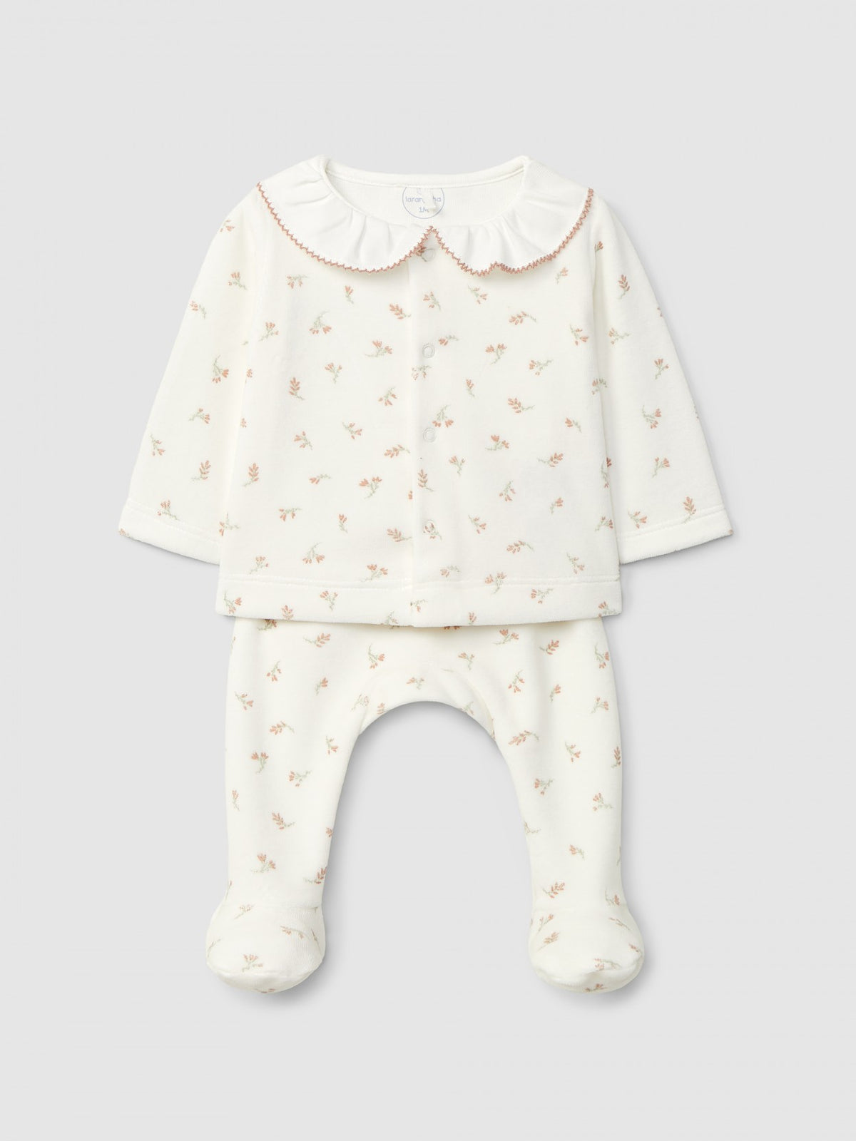 Conjunto de veludo floral de duas peças